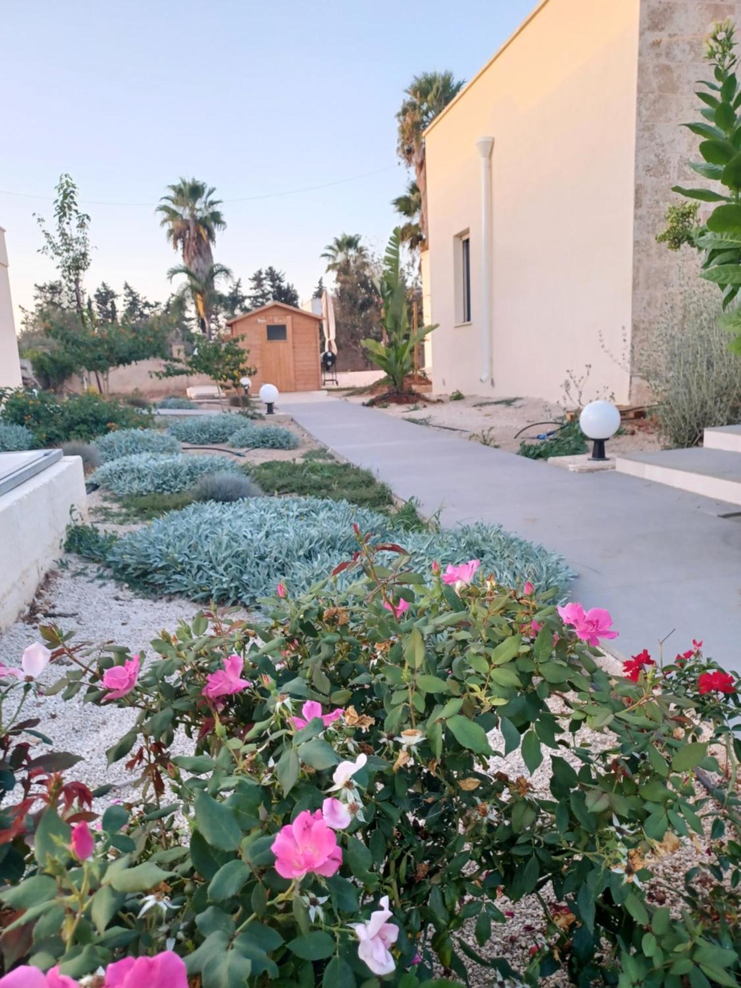 Zeituna Lodge A Porto Cesareo Torre Lapillo Extérieur photo