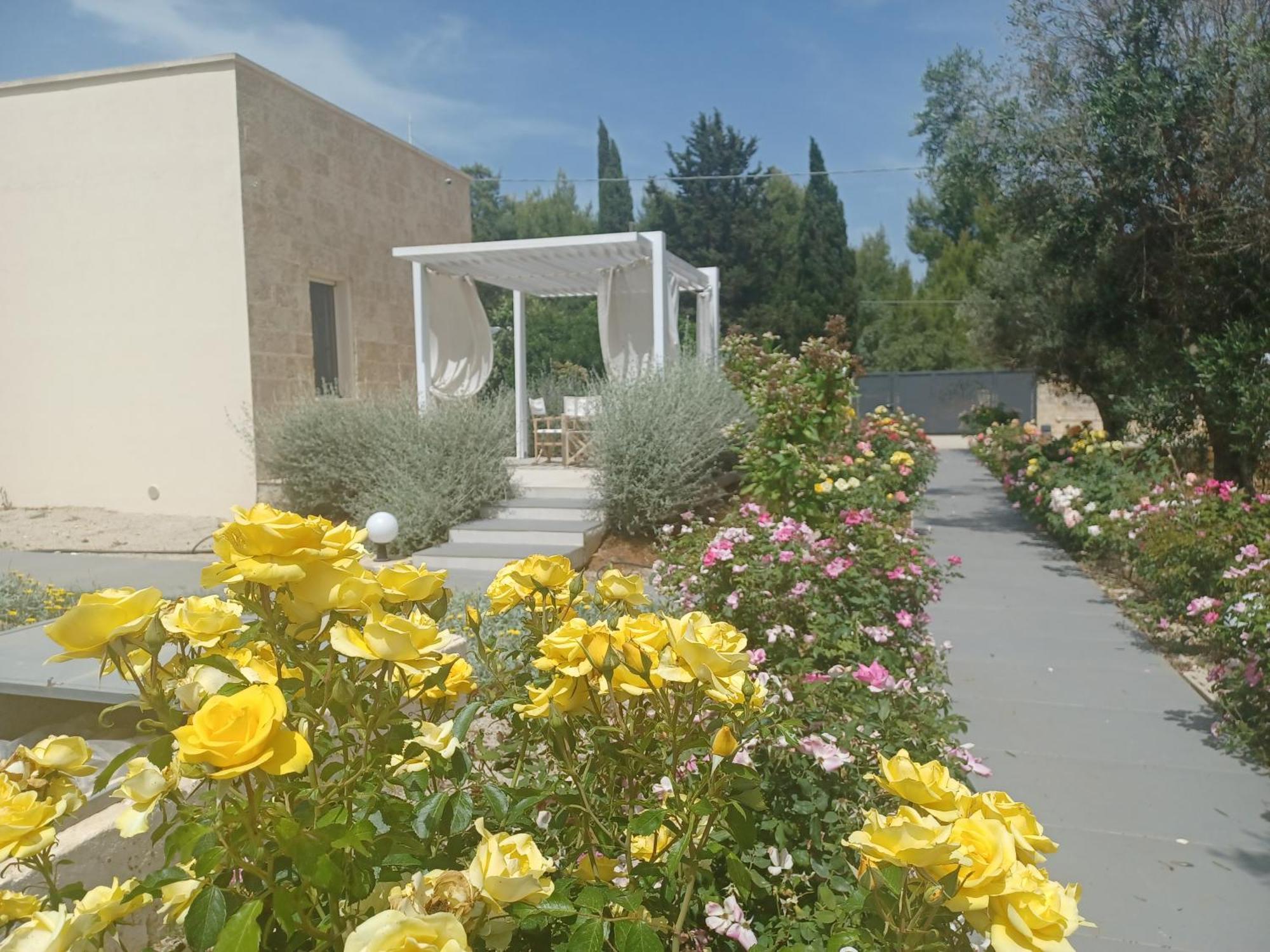 Zeituna Lodge A Porto Cesareo Torre Lapillo Extérieur photo